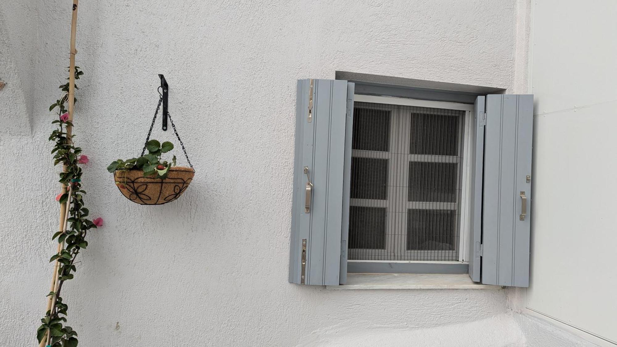 The Botanist Guesthouse สโกเปลอสทาวน์ ภายนอก รูปภาพ