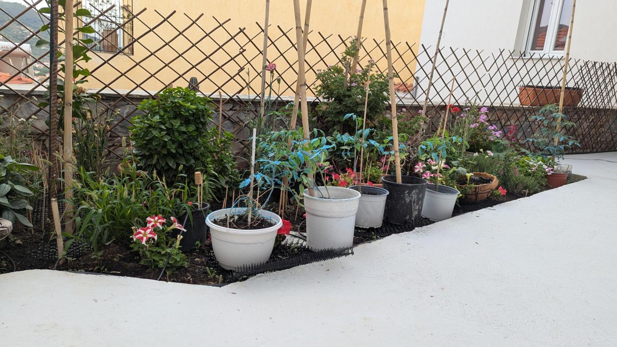The Botanist Guesthouse สโกเปลอสทาวน์ ภายนอก รูปภาพ