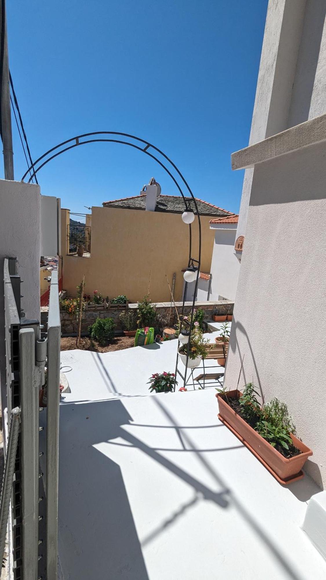 The Botanist Guesthouse สโกเปลอสทาวน์ ภายนอก รูปภาพ