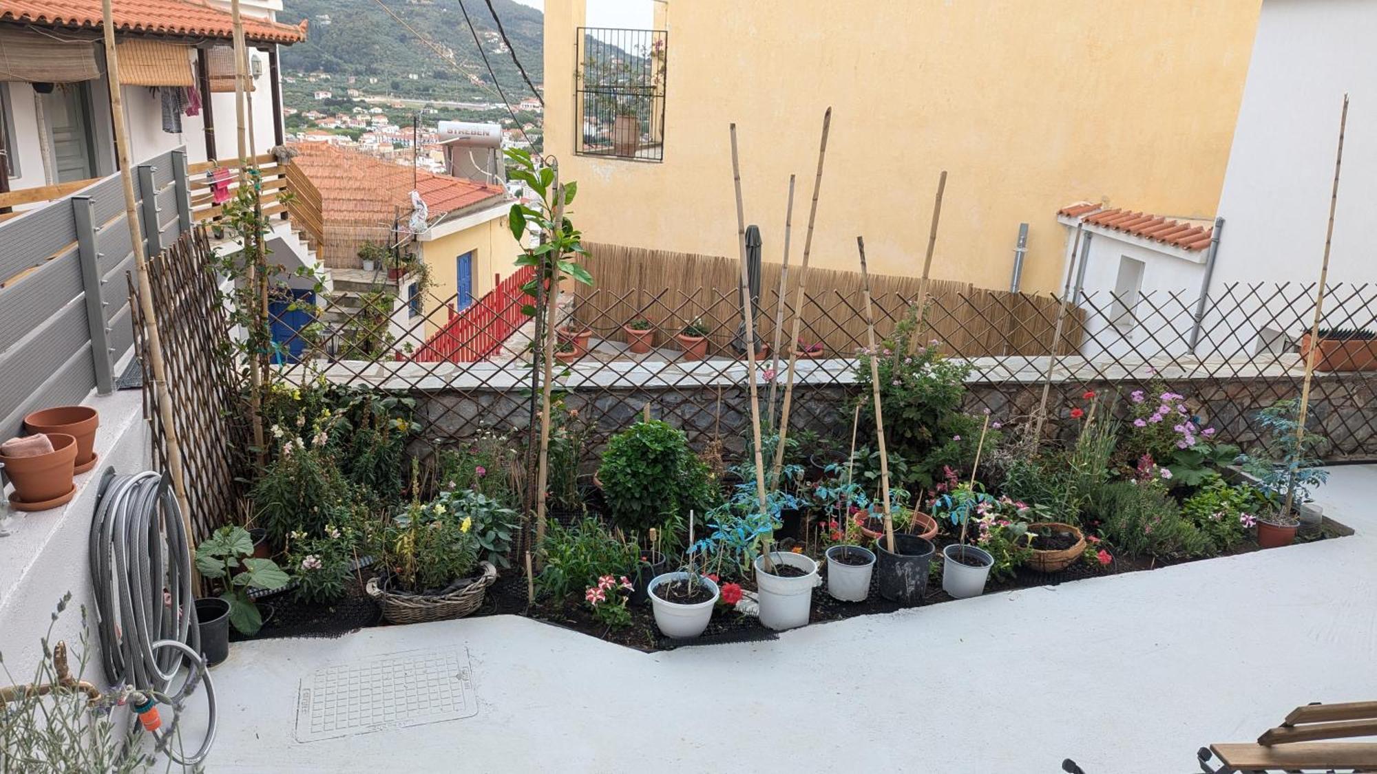 The Botanist Guesthouse สโกเปลอสทาวน์ ภายนอก รูปภาพ