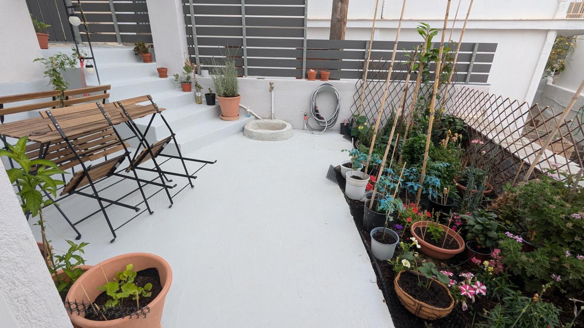 The Botanist Guesthouse สโกเปลอสทาวน์ ภายนอก รูปภาพ